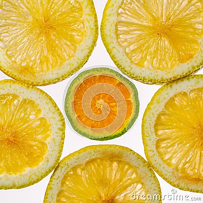 Sliced Orange and Mandarin backlit showing texture Stock Photo