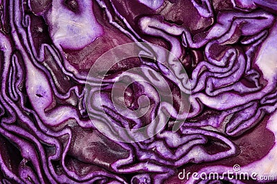 Sliced red cabbage close up Stock Photo