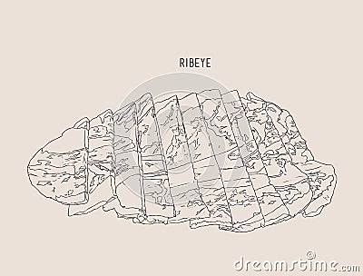 Sliced ribeye meat , sketch vector. Vector Illustration