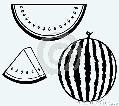 Sliced ripe watermelon Vector Illustration