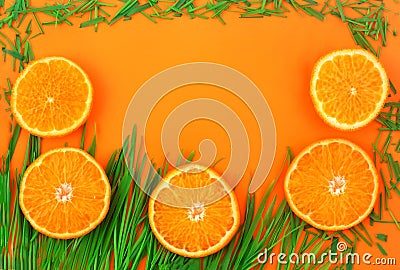Bright summer banner with tangerines and green grass. Stock Photo