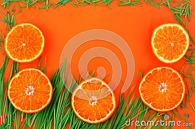 Bright summer banner with tangerines and green grass. Stock Photo