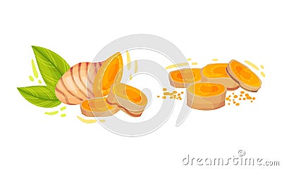 Sliced Turmeric Rhizome or Root and Green Leaf Vector Set Vector Illustration