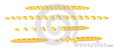 Slices of bread infographic set. Cut baguette. Long to short. Animation progression. Business several parts. Vector flat Vector Illustration