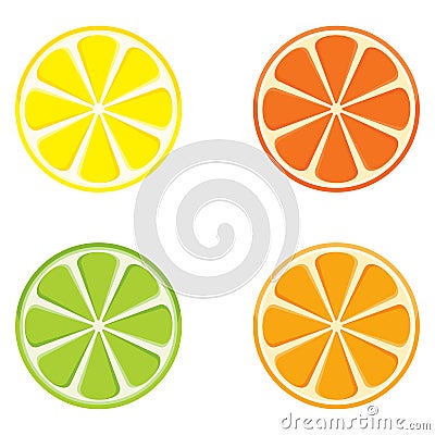 Slices of citrus fruits Vector Illustration