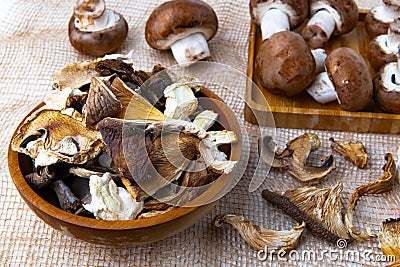 slices of different dried mushrooms in a wooden bowl as gourmet food ingredients, Vegetable organic protein trend food Stock Photo