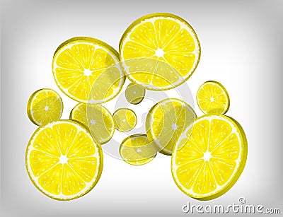 Slices of fresh citric lemon falling and flying Vector Illustration