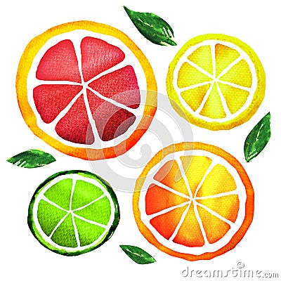 Slices of fresh citrus fruits isolated Stock Photo