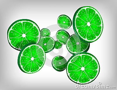 Slices of fresh citrus lime falling and flying Vector Illustration