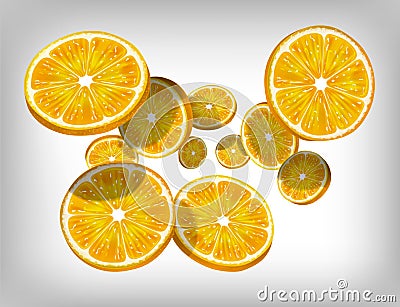 Slices of fresh citrus orange falling and flying Vector Illustration