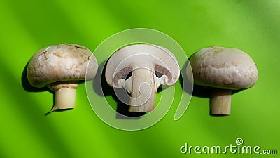 Slices fresh mushroom champignon on green background Stock Photo