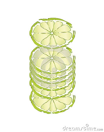 Slices of limes Vector Illustration