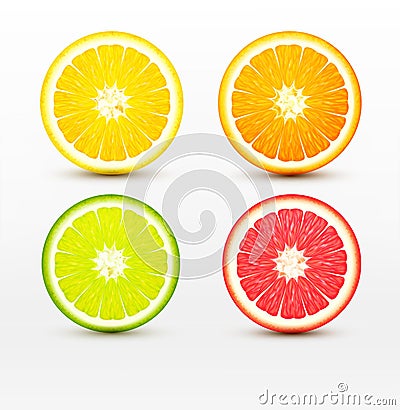 Slices of orange, grapefruit, lime , lemon isolated Vector Illustration