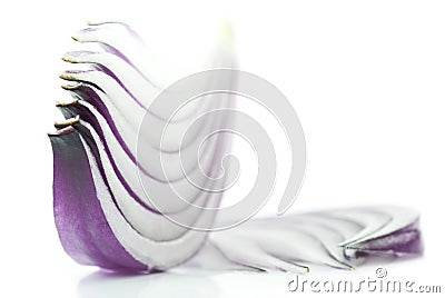 Slices of purple onion Stock Photo