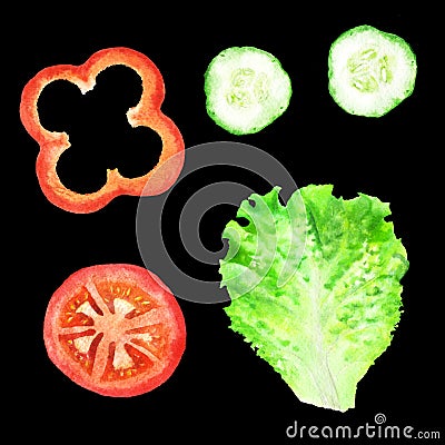 Slices of tomato, paprika, cucumber and leaf of lettuce for sandwich. Watercolor illustration on black background Cartoon Illustration