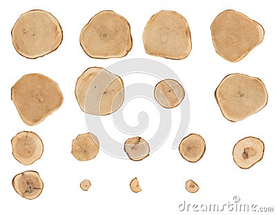 Slices of wood Stock Photo