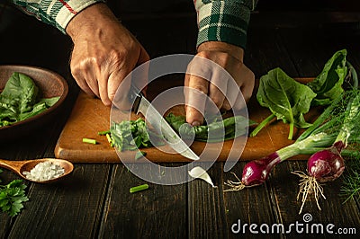 Slicing spinach with a knife on a cutting board. Cooking vegetable salad in the kitchen by the hands of a cook. The idea of a Stock Photo