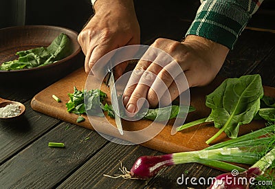 Slicing spinach leaves for a diet salad for lunch. The hands of the cook are preparing a salad of spinach and fresh vegetables on Stock Photo