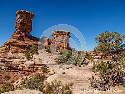 Slickrock Trail in Canyonlands National Park Stock Photo