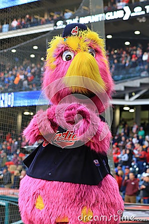 Slider, Indians fuzzy and fuchsia-colored mascot Editorial Stock Photo