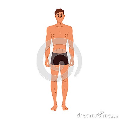 Slim slender man in trunks with nude naked torso. Young male character in underwear with thin healthy sporty body shape Vector Illustration