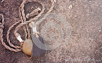 The Sling of David with one Smooth Stones a Story from the Bible Stock Photo