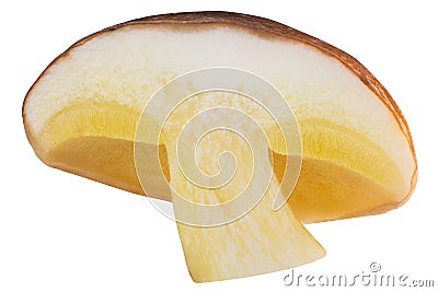 Slippery jack s. luteus mushroom half, paths Stock Photo