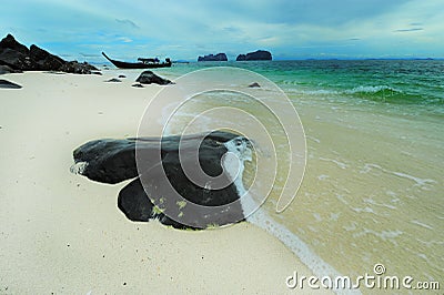 slippy rock in Thailand Stock Photo