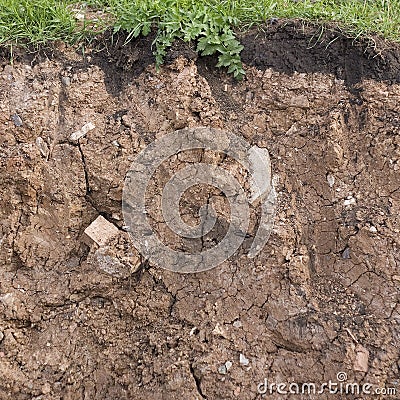 Slit of ground Stock Photo