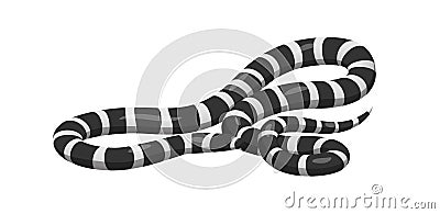 Slither Banded Sea Krait Snake Icon Vector Illustration