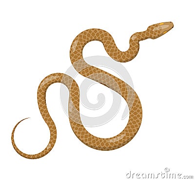 Slither Brown Python Snake Top View Vector Icon Vector Illustration