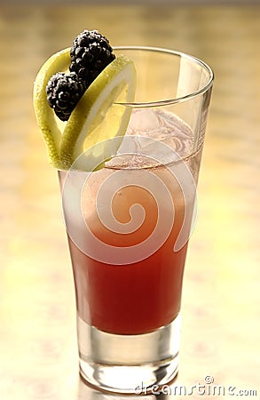 Sloe Gin Fizz Stock Photo