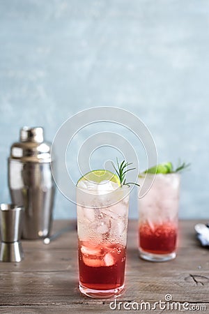 Sloe Gin Fizz Cocktail Stock Photo