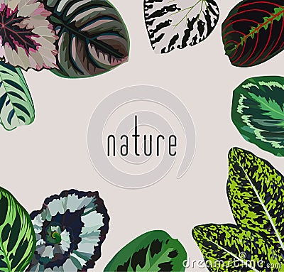 Slogan nature leaves frame Vector Illustration