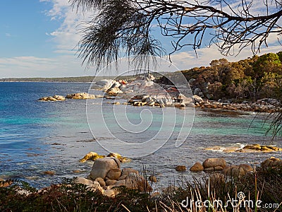 Sloop Bay- Bay of Fires - Tasmania Stock Photo