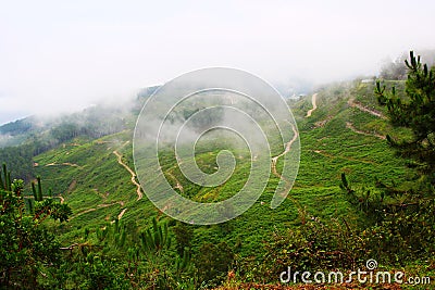 The slopes of the mountains covered with lush greenery and low clouds touch the ground Stock Photo