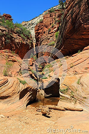 Slot Canyon along Observation Point Trail, Zion National Park, Utah Stock Photo