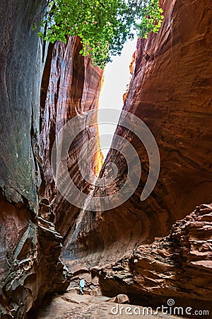 Slot canyon in Utah Stock Photo