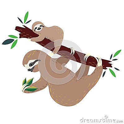 Sloth with baby Vector Illustration