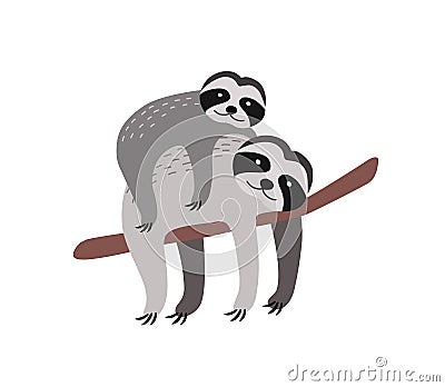 Sloth with baby resting on tree branch isolated on white background. Family of cute funny wild arboreal animals. Parent Vector Illustration