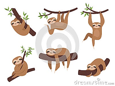 Sloth characters. Cute sleepy animal on branch tree kid climbing vector cartoon mascot Vector Illustration