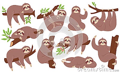 Sloth. Funny sloths hanging on branch, climbing tree, sleeping. Cute baby animal with mother. Lazy sleepy animals in Vector Illustration