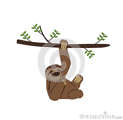 Sloth hanging on three branch vector illustration. Vector Illustration