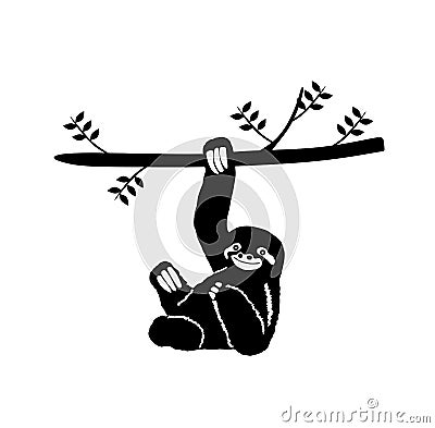 Sloth hanging on three branch vector silhouette. Vector Illustration