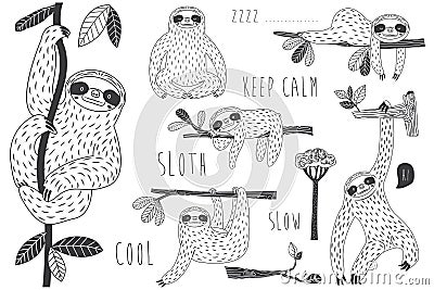 Sloth Hanging on Tree Doodle Collection set Vector Illustration