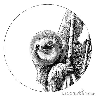 Sloth sketch vector graphics Vector Illustration