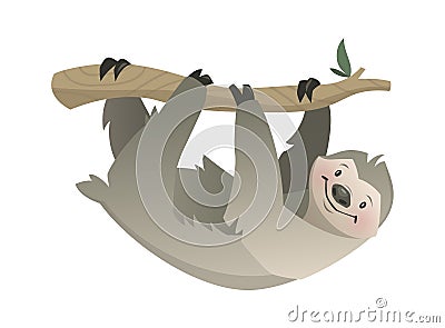 Sloth. Tropical jungle, circus or zoo animal, gray bear on branch hanging, wildlife exotic childish print, african fauna Vector Illustration