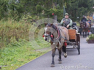 Slovakia, High Tatra mountain, Strbske pleso, September 15: Old men in hat with horse in Traditional harness and horse drawn carri Editorial Stock Photo