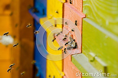 Slovenian Bee Hive Stock Photo
