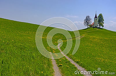 Slovenian countryside in spring with charming little church on a hill and blooming dandelions and daffodils wildflowers. Sunny Stock Photo